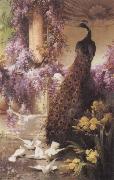 Eugene Bidau A Peacock and Doves in a Garden china oil painting artist